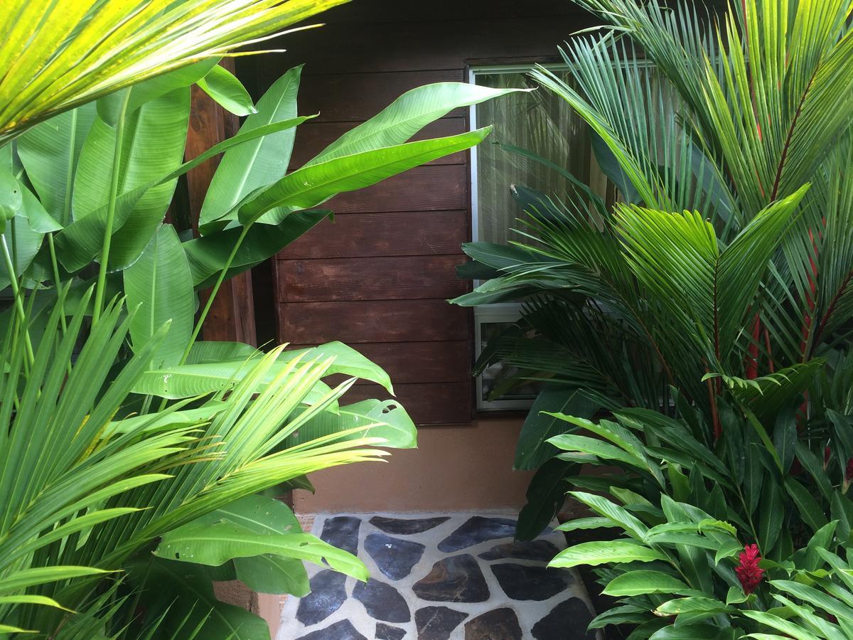La Fortuna Mussaenda, Arenal酒店 外观 照片