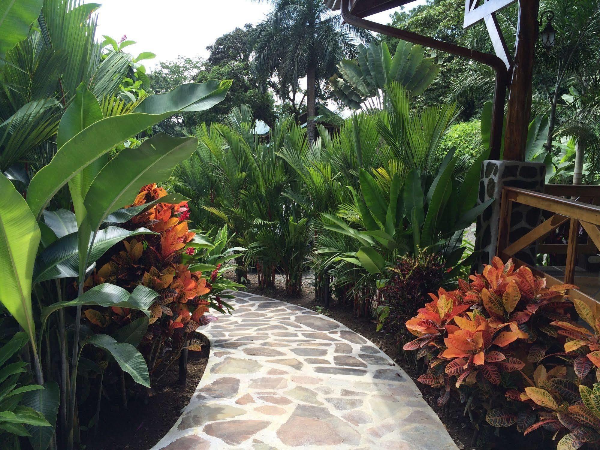 La Fortuna Mussaenda, Arenal酒店 外观 照片